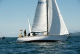 windthrift 9602y whyw22 sun 800_2020yi